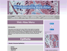 Tablet Screenshot of microanatomy.net