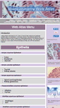 Mobile Screenshot of microanatomy.com