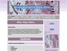 Tablet Screenshot of microanatomy.com